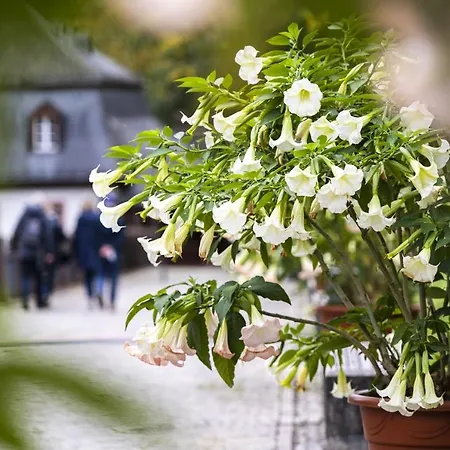 Hideaway Im Odenwald Nahe Heidelberg Appartamento